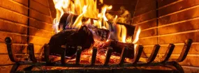 Fireplace Damper Services Big Stone Gap, Duncanville