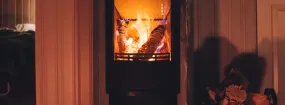 Fix Non-Working Fireplace Big Stone Gap, Duncanville