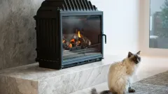 Wood Burning Fireplace Repair Big Stone Gap, Duncanville