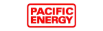 Pacific Energy Enviro Fireplace Repair in Duncanville